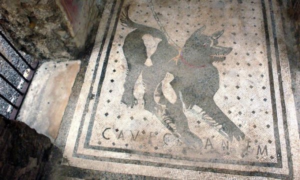 Рисунок собаки в Помпеи