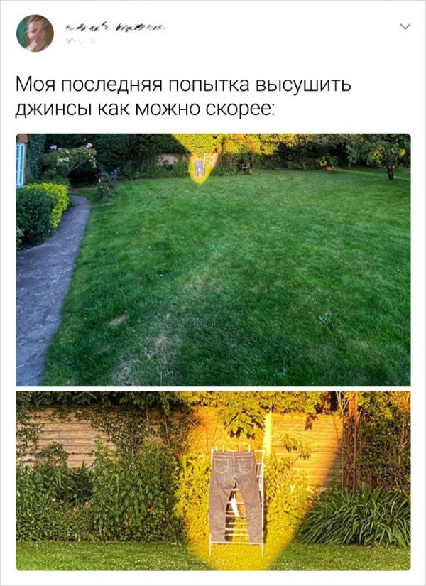 Твит про джинсы