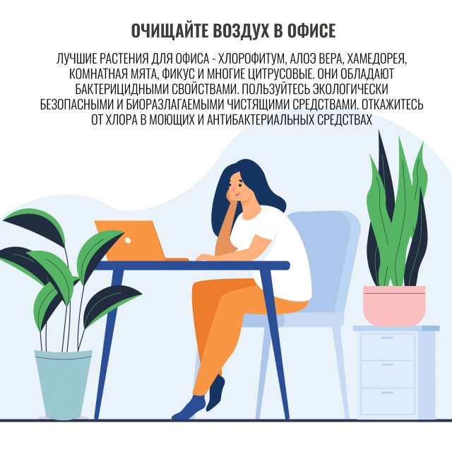Полезные эко-советы для офисов