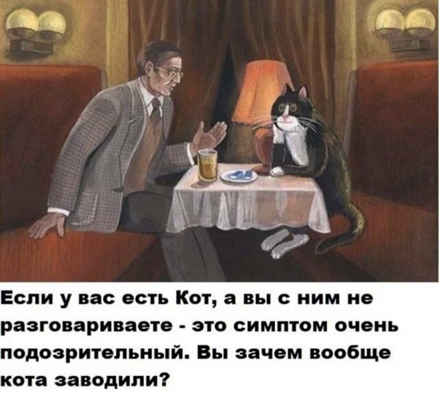 юмор про котов
