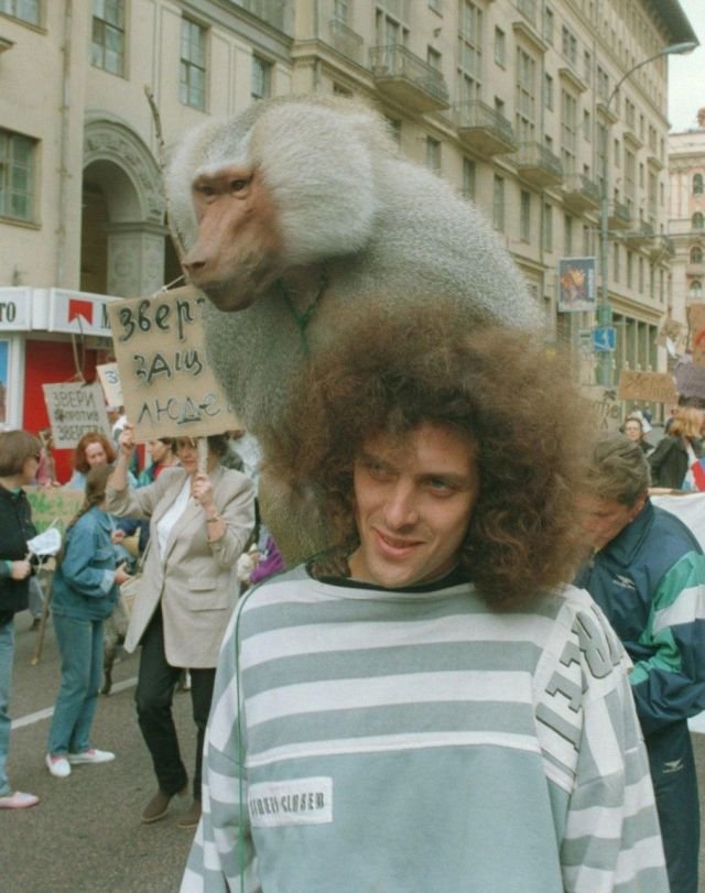 Дрессированная обезьяна из Московского цирка