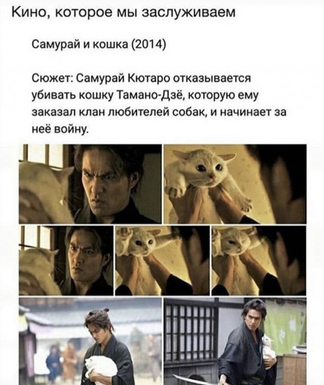 Описание прикольного фильма