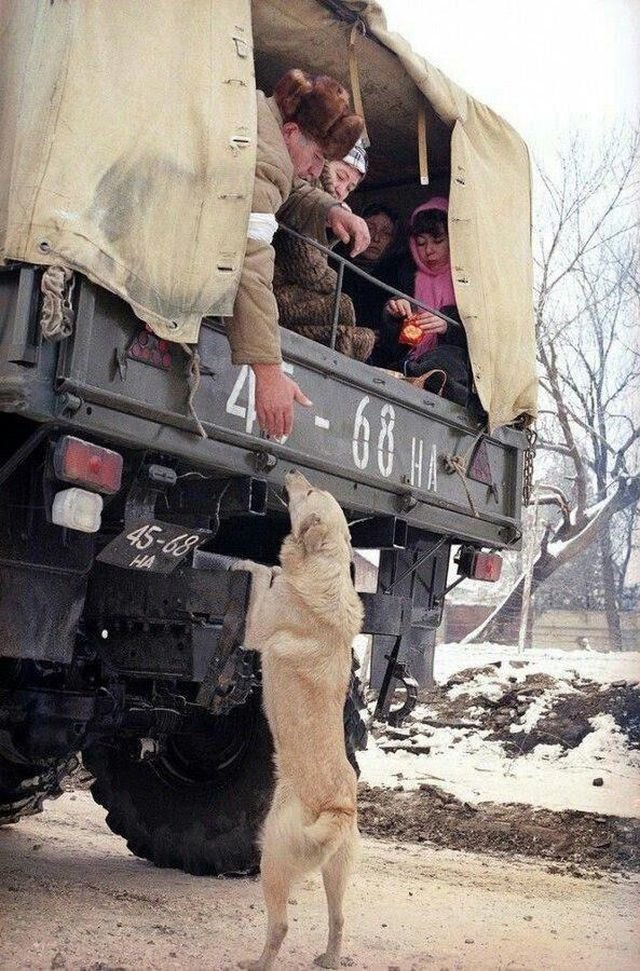 Мужчина прощается со своей собакой во время эвакуации мирного населения из охваченной войной Чечни, 1995 год.