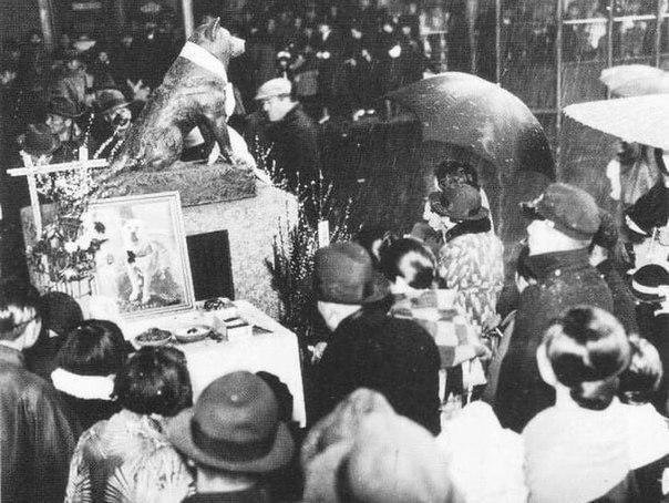 Бронзовая статуя Хатико на месте, где он каждый день ждал своего хозяина, в день смерти, 1935 г.