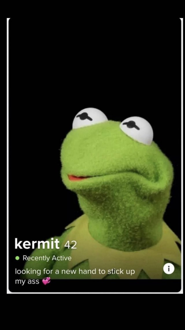 Kermit выступает с неоднозначнными предложениями