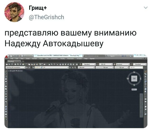 твит про надежду кадышеву