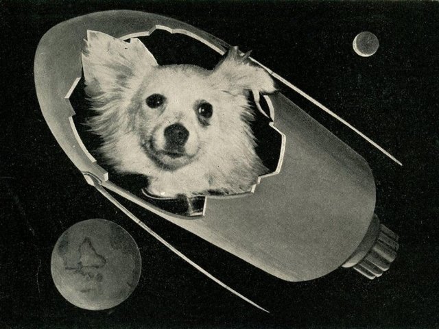 Космическая собака Козявка на итальянской открытке 1960 года.