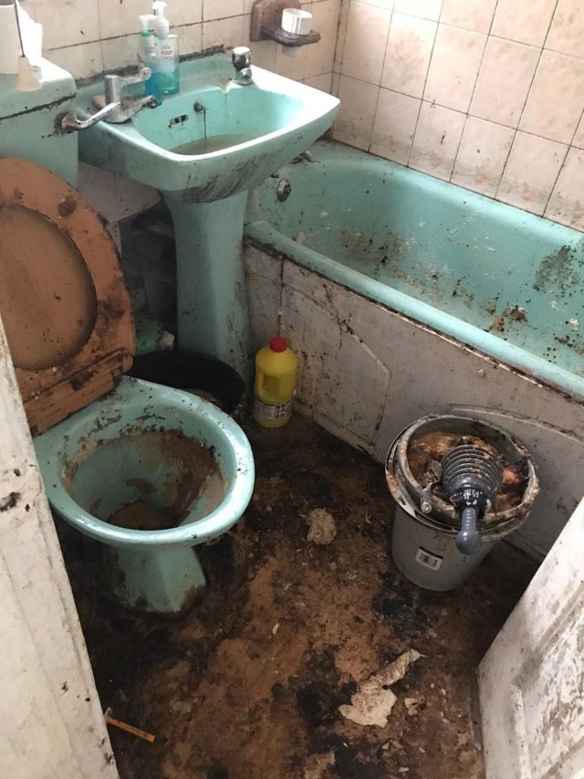 Клинеры показали результаты уборки в доме в графстве Камбрия - занимаются ванной и туалетом