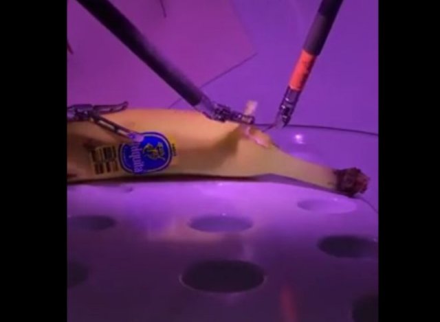 Хирургический робот тренируется на банане