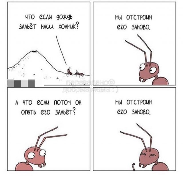история про муравья