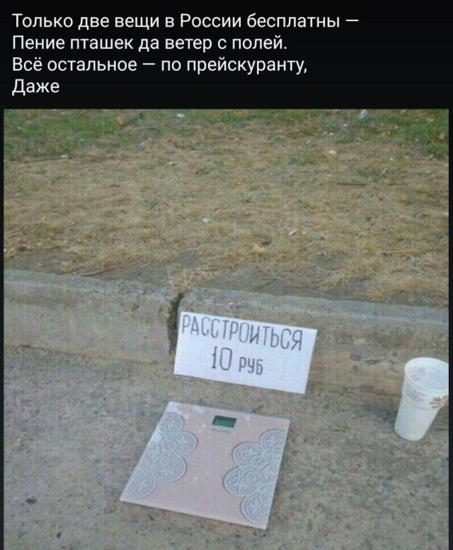 стих про весы