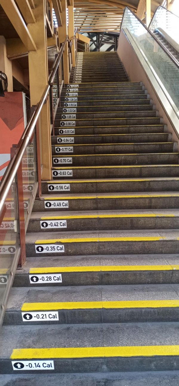 Мотивационная лестница, которая показывает, сколько калорий вы сожгли на каждой ступеньке.