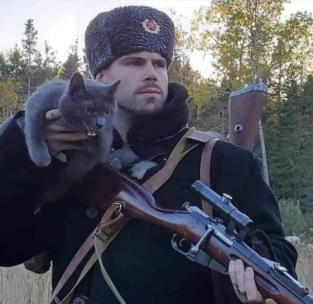 Кот и охотник