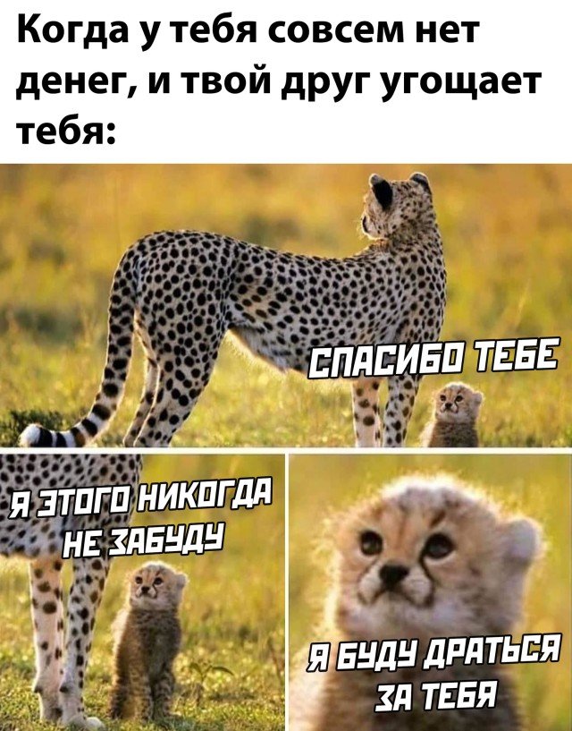 Когда угощает друг