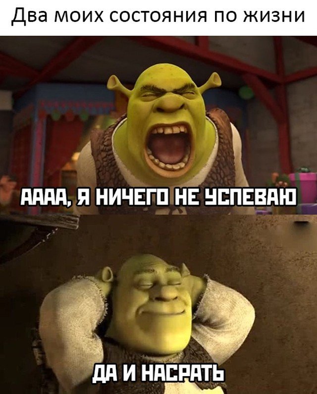 Когда ничего не успеваешь