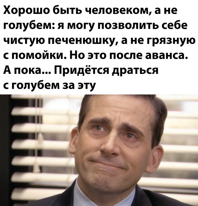 Чистая печенюшка