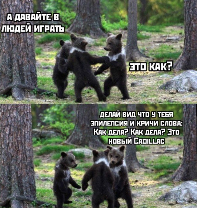 Танцы в природе