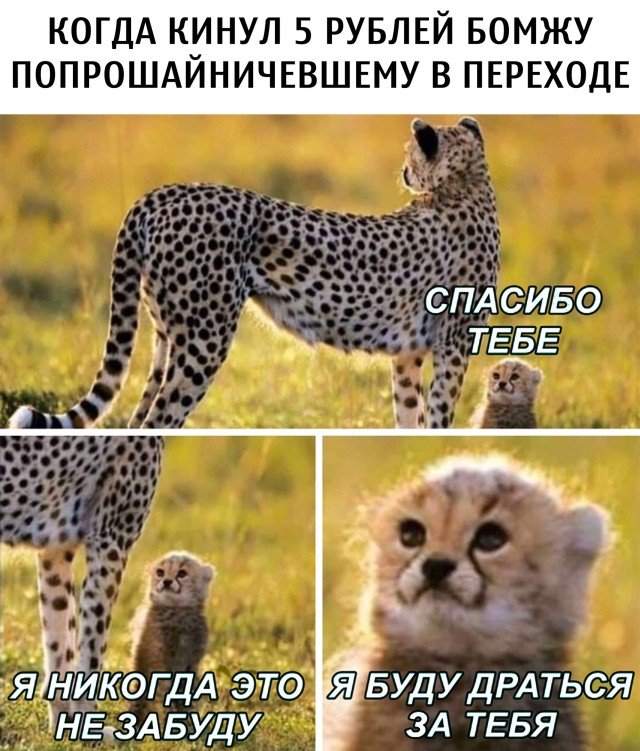 Благодарный нищий