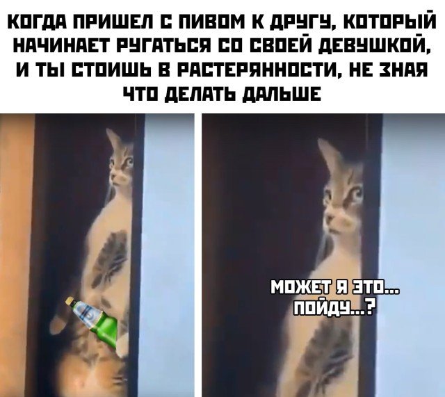 Ссора друга с девушкой