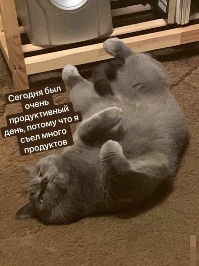 Съел много продуктов