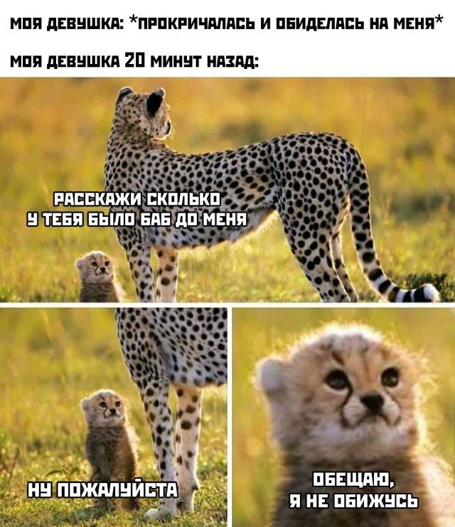 Общение с девушкой о бывших