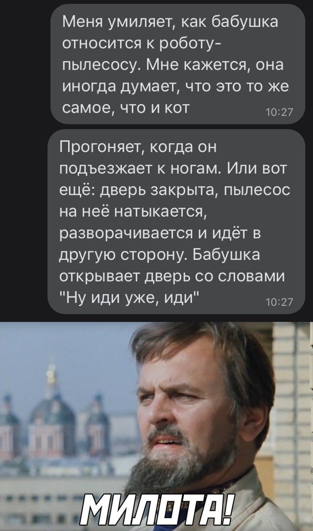 Бабушка и робот-пылесос