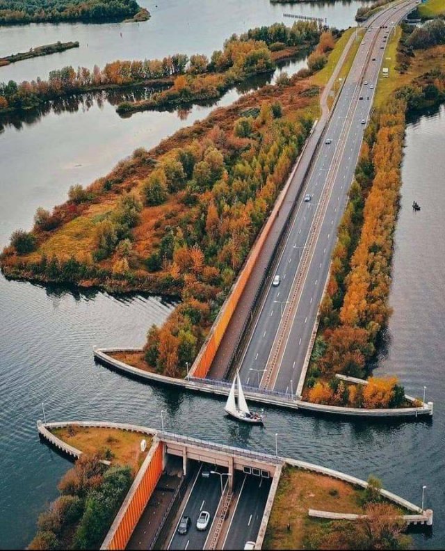Переправа через дорогу