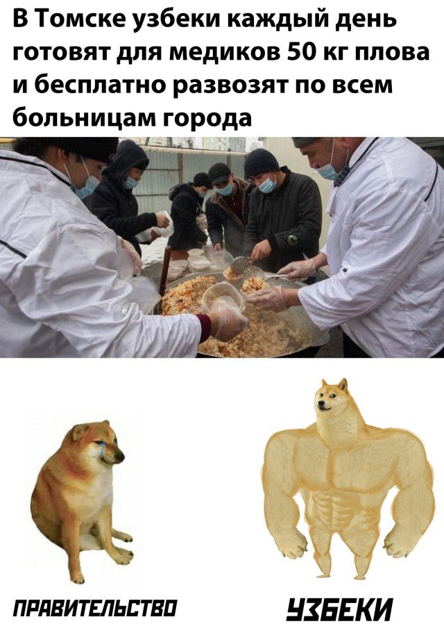 Плов для медиков