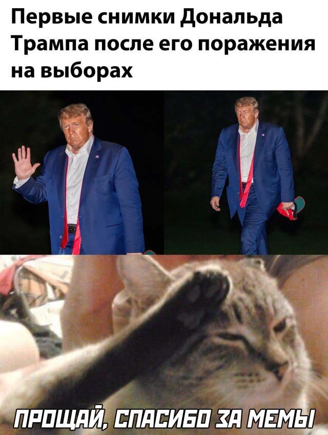 Трамп после проигрыша в выборах