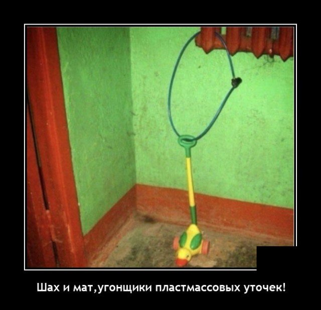 Демотиватор про воров