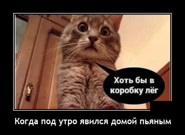 Демотиватор про алкоголь