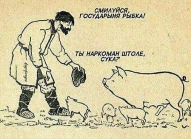 юмор про животных