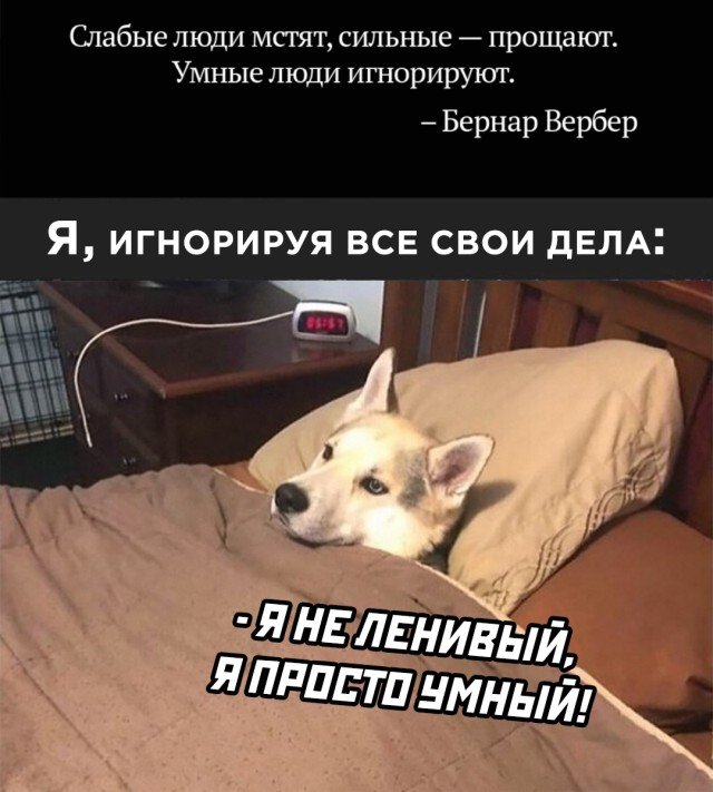 Я совсем не ленивый