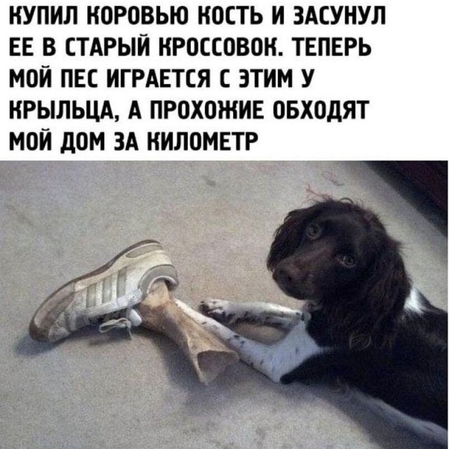 Странные и нелепые советы от пользователей социальных сетей, которым лучше не следовать