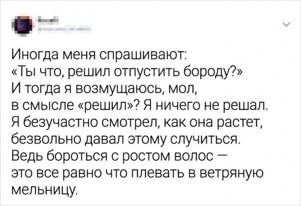 твит про бороду