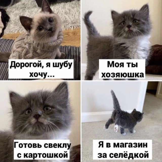 Лучшие шутки и мемы из Сети