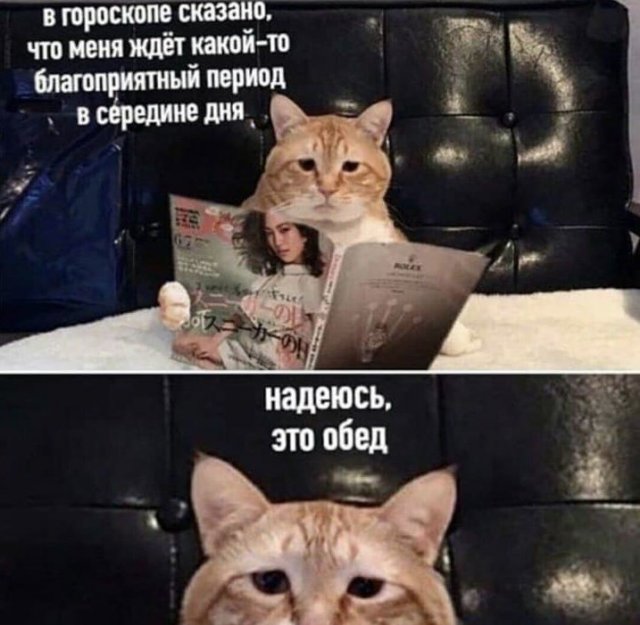 Лучшие шутки и мемы из Сети