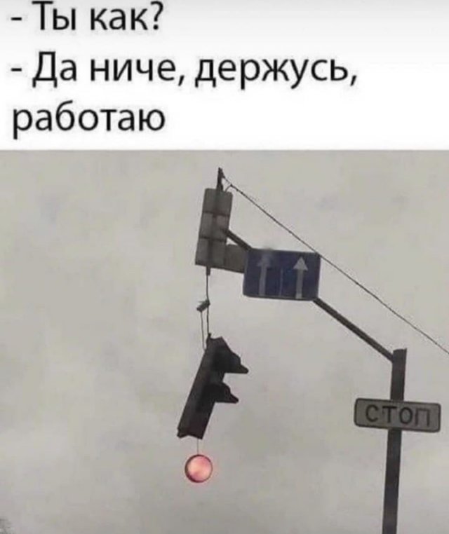 Лучшие шутки и мемы из Сети