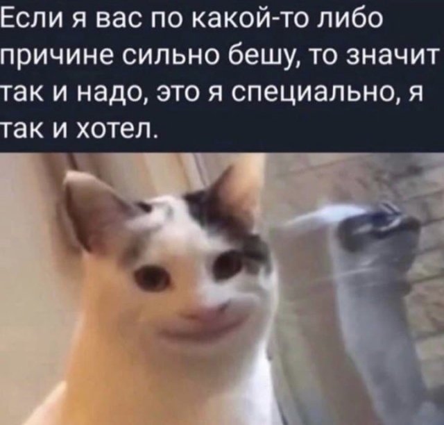 Лучшие шутки и мемы из Сети