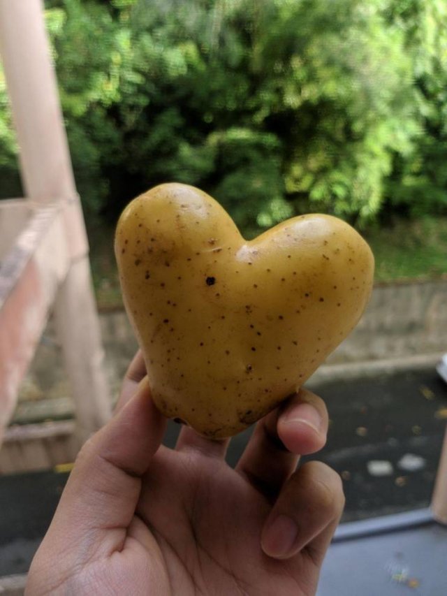 Картофель в форме сердца