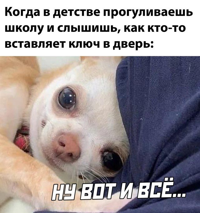 Прогулял школу в детстве