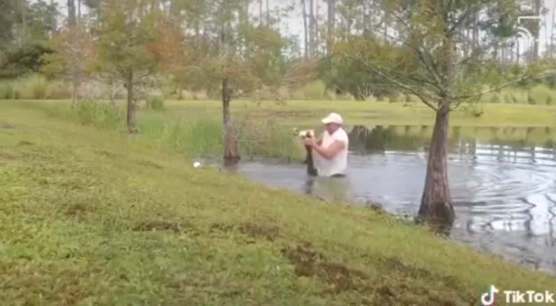 Житель Флориды голыми руками сразился с крокодилом, чтобы спасти щенка