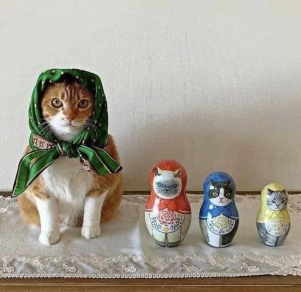 Кот и матрешки