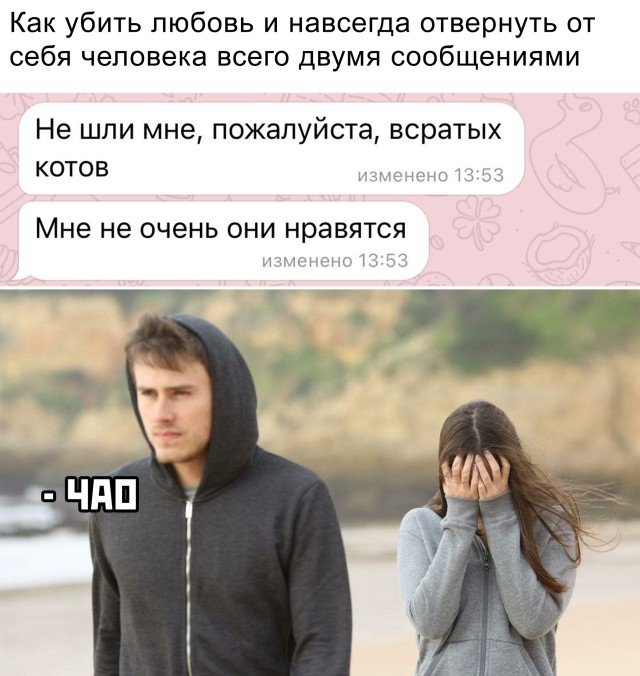 Переписка с девушкой