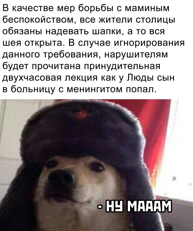 Рассказ про шапку зимой