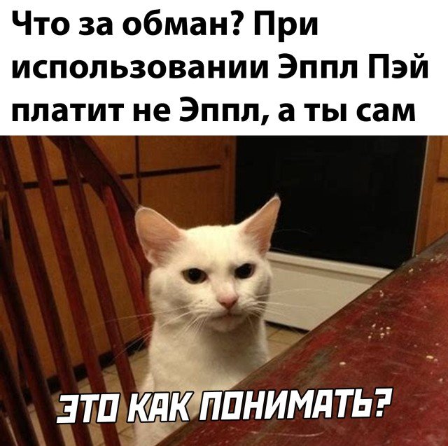 Шутка про Эппл Пэй