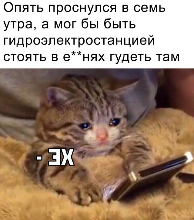 Проснулся утром