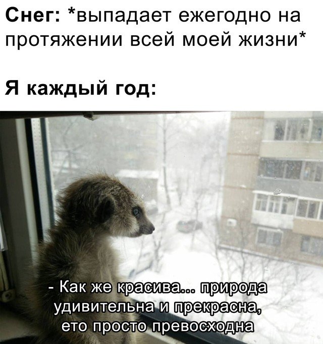 Снег выпадает каждый год