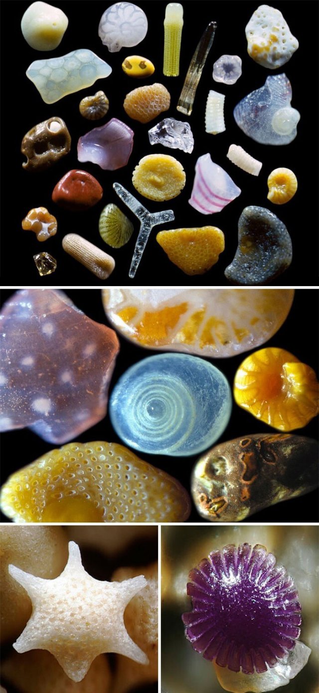 песчинка под микроскопом