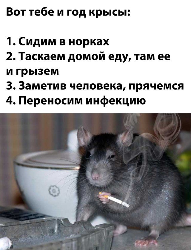 Как мы жили в 2020 ноду